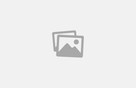 Tower Casino Review: Play Casino Online in Canada
