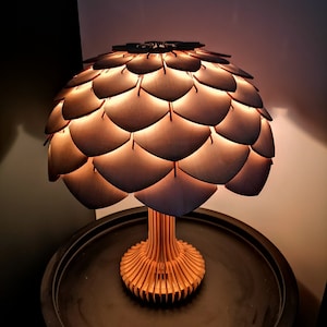 il_300x300.6008688012_qsq8.jpg